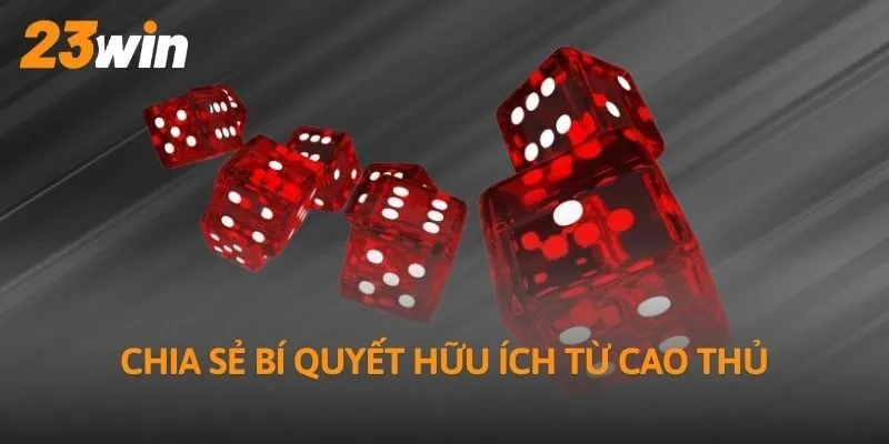 Chia sẻ bí quyết hữu ích từ cao thủ